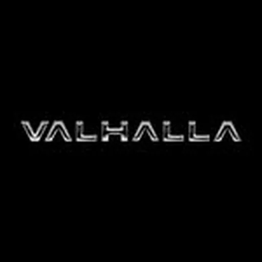 @valhalla.music_ profile image