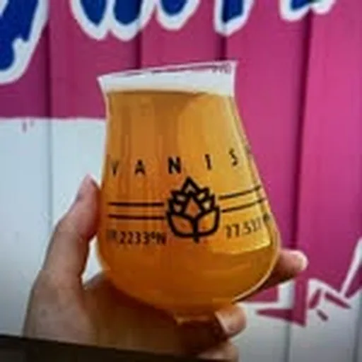 @vanishbeer profile image