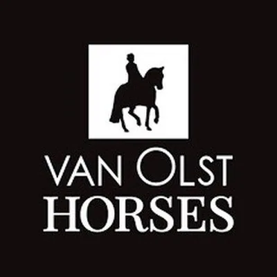 @vanolsthorses profile image