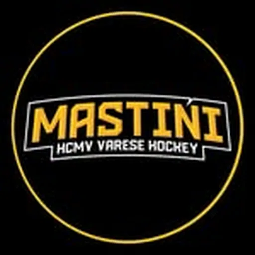 @varesehockey profile image
