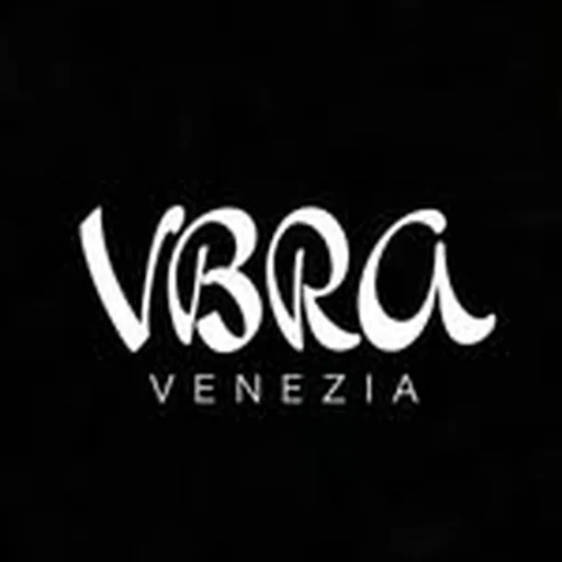 @vbra.venezia profile image