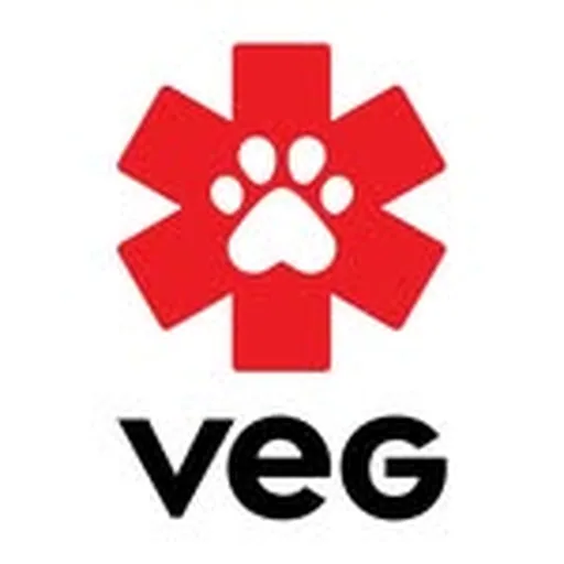 @veg profile image