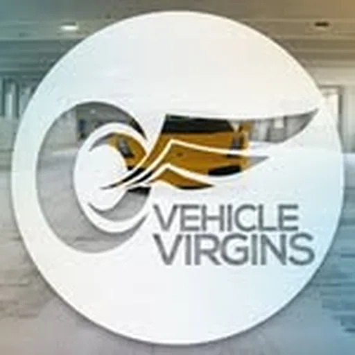 @vehiclevirgins profile image