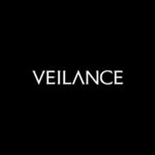 @veilance profile image