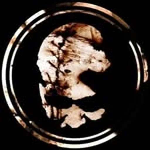 @vein.fm profile image