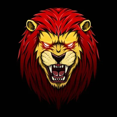 @velion83_ profile image