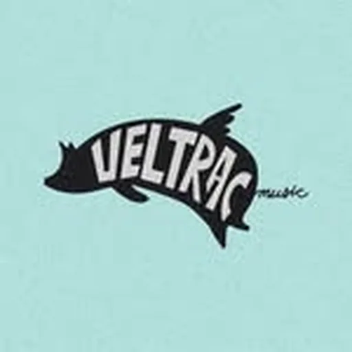 @veltracmusic profile image