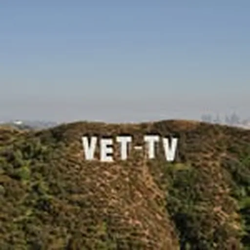 @vet_tv profile image