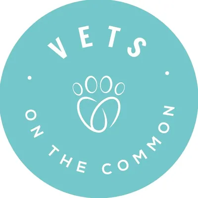 @vetsonthecommon profile image