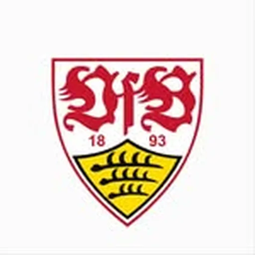 @vfb_frauen profile image