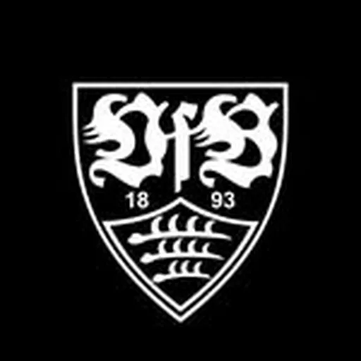 @vfbesports profile image