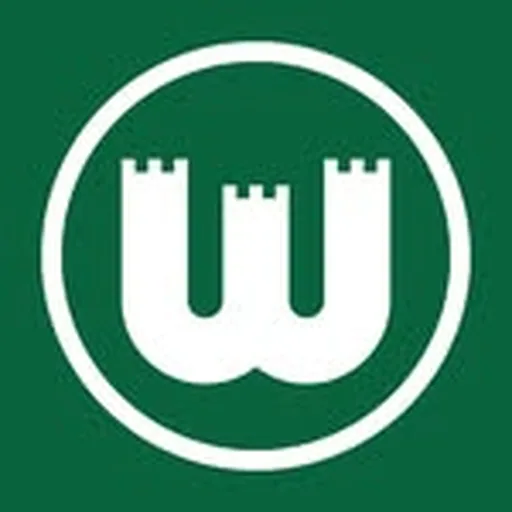 @vfl.wolfsburg profile image