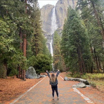 @vi.mfc.xi profile image