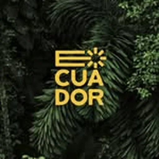 @viajaprimeroec profile image