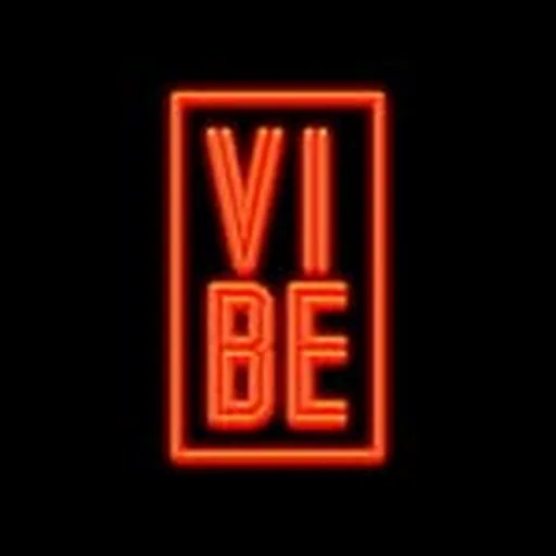 @vibe.cl profile image