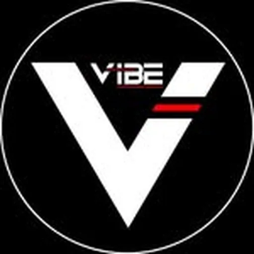 @vibefitness.ny profile image