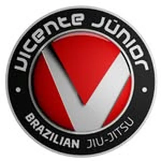 @vicentejrteam profile image