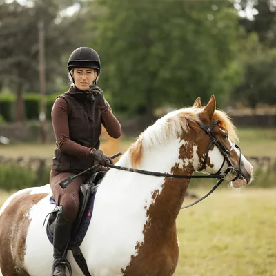 @vickym.ponies profile image