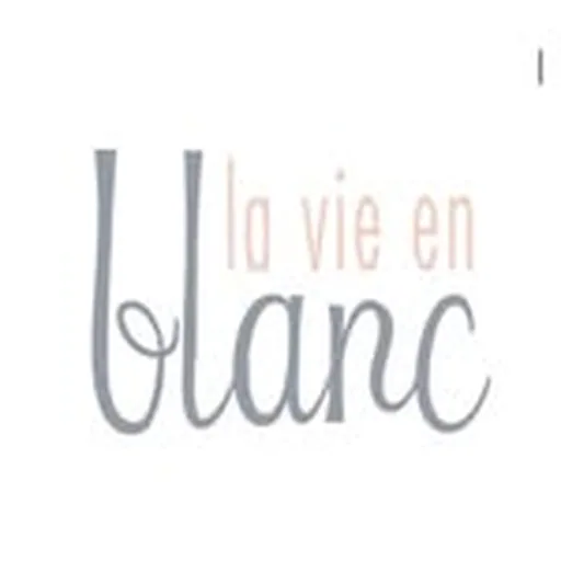 @vieenblanc profile image