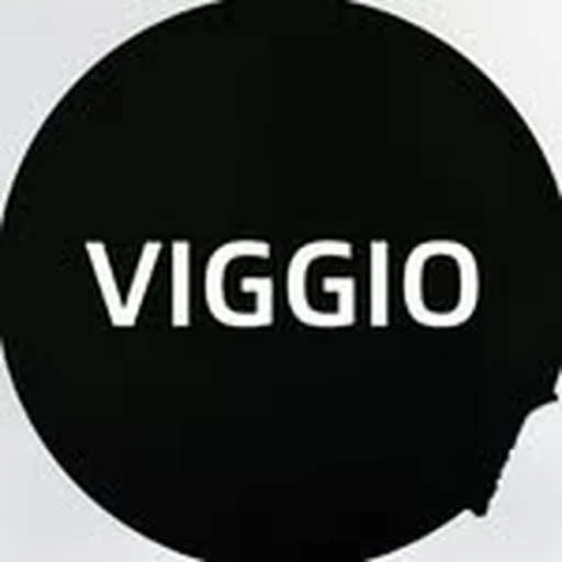 @viggio.us profile image