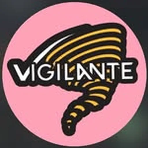 @vigilante.ny profile image