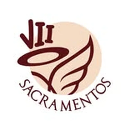 @viisacramentos profile image