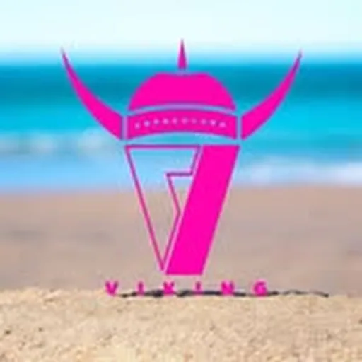 @viking.ent profile image