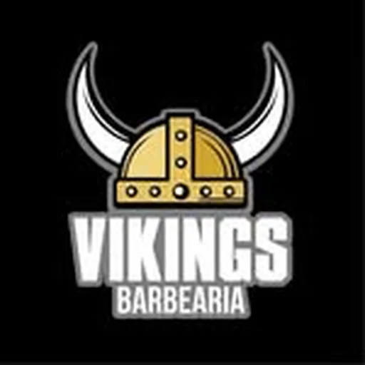 @vikingsbarbearia profile image
