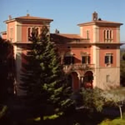 @villalenafoundation profile image
