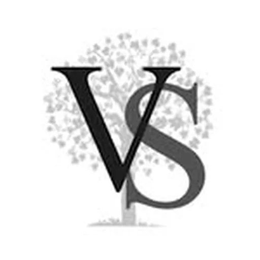 @villasylva profile image
