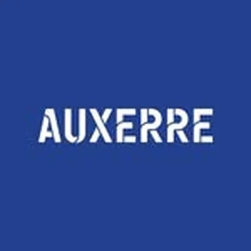@villedauxerre profile image