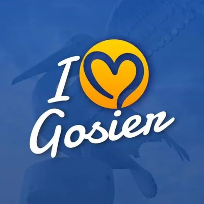 @villedugosier profile image