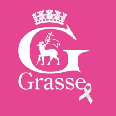 @villegrasse profile image