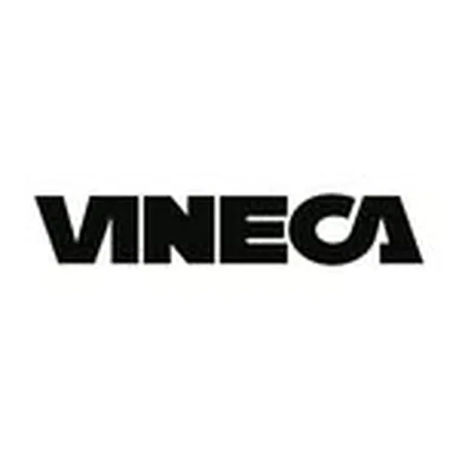 @vineca profile image