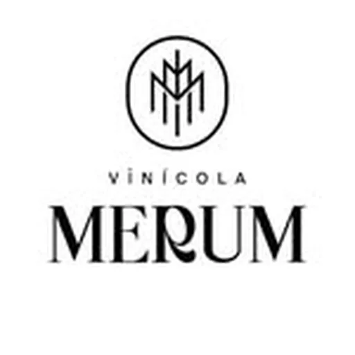 @vinicolamerum profile image