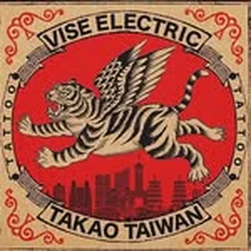 @vise_electric profile image