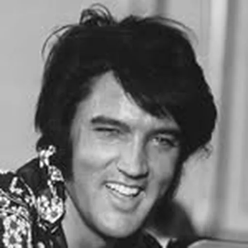 @visitgraceland profile image