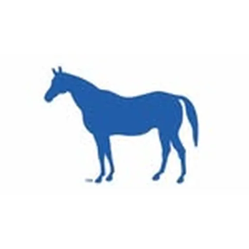 @visitlex profile image