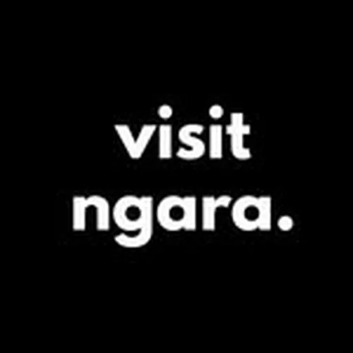 @visitngara profile image