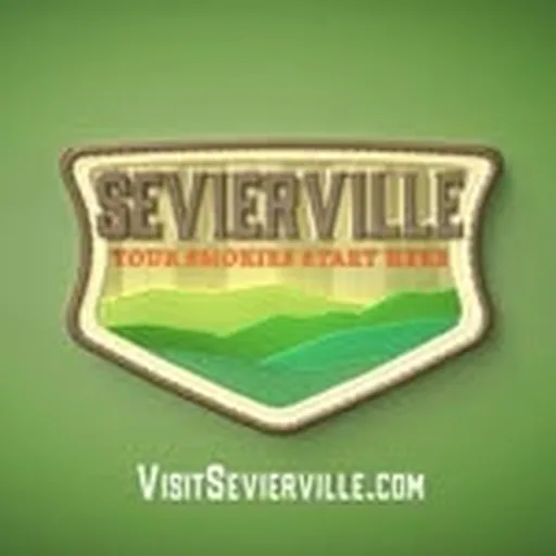 @visitsevierville profile image