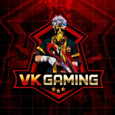 @vk__gaming__official_ profile image
