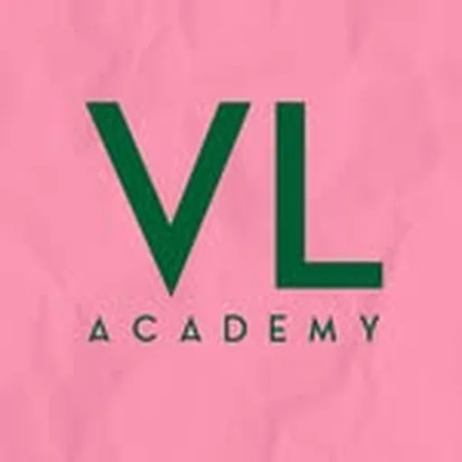 @vl_academy profile image
