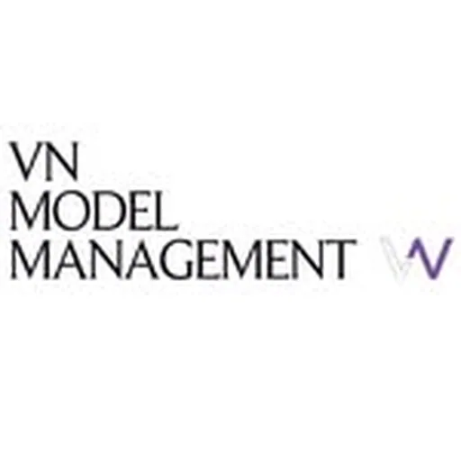 @vnmodels profile image