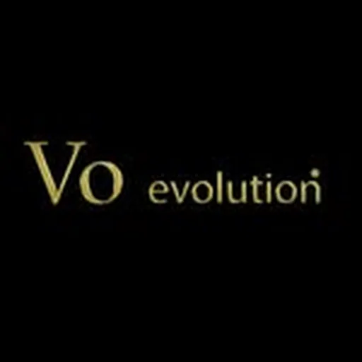 @voevolution profile image