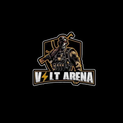 @volt_arena_ profile image