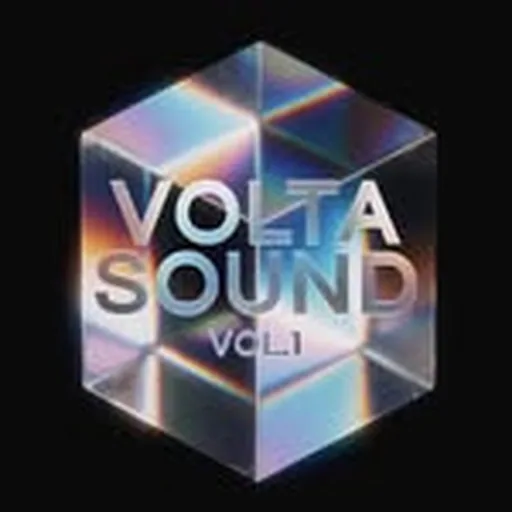 @volta_records profile image