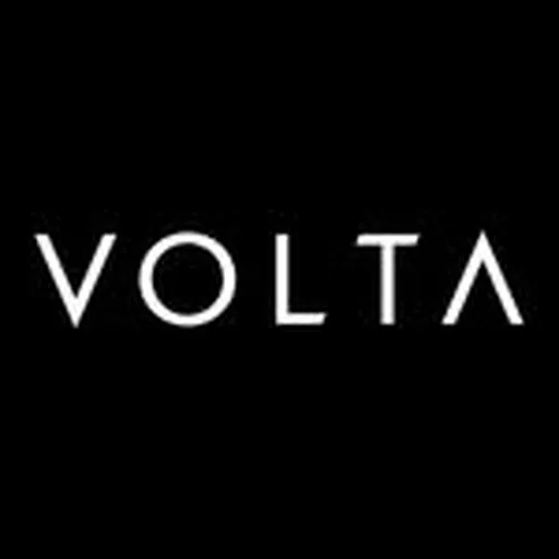 @voltaartfairs profile image