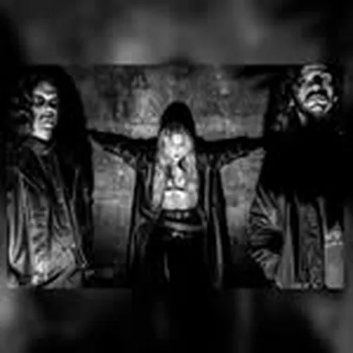 @voshvault profile image