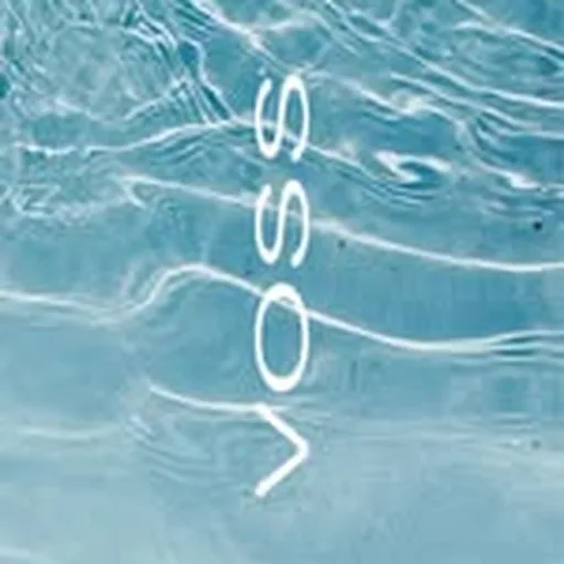 @voss_uk profile image