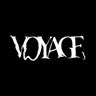 @voyagecestlavie profile image